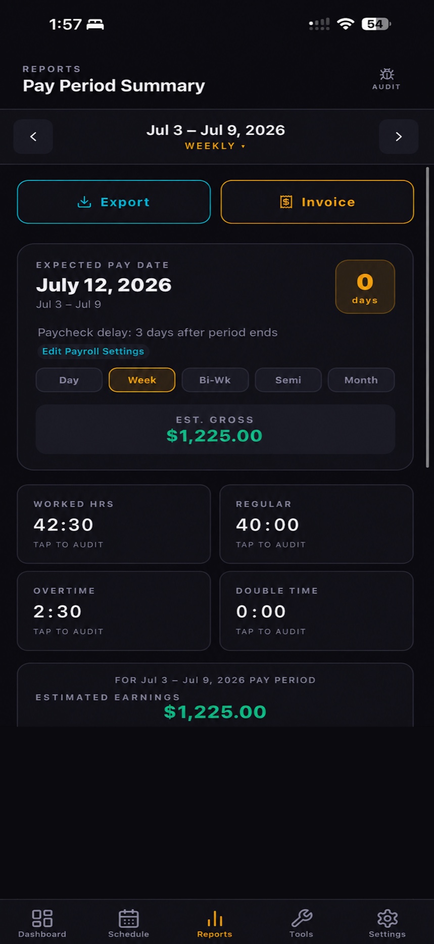 Flex 40 pay period summary report